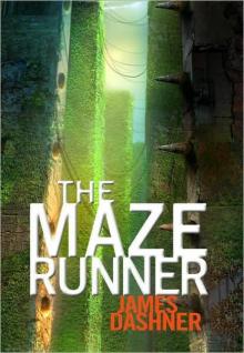 The Maze runner mr-1 Read online