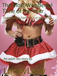 The Most Wonderful Time of the Year Read online