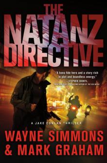 The Natanz Directive Read online