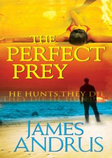 The Perfect Prey Read online