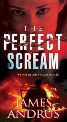 The Perfect Scream Read online