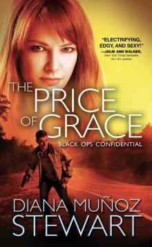 The Price of Grace Read online