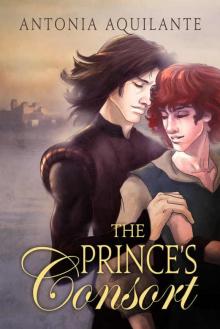 The Prince's Consort (Chronicles of Tournai Book 1) Read online