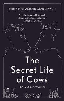 The Secret Life of Cows