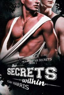 The Secrets Within (Shape Shifter Secrets Book 1) Read online