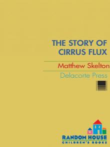 The Story of Cirrus Flux Read online