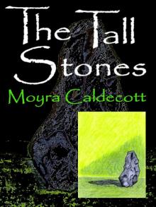 The Tall Stones Read online