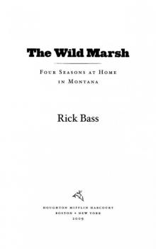 The Wild Marsh Read online