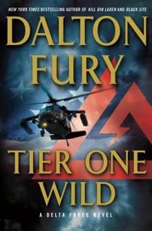 Tier One Wild df-2 Read online