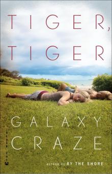 Tiger, Tiger Read online