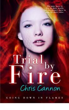 Trial By Fire (Going Down in Flames) Read online