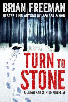 Turn to Stone Read online