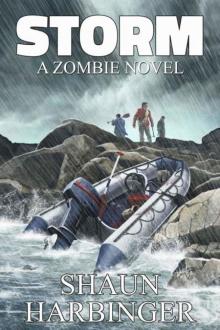 Undead Rain (Book 2): Storm