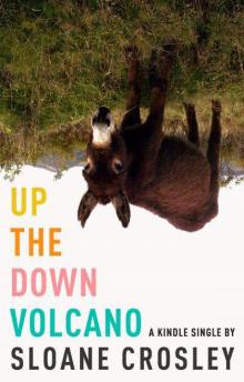 Up the Down Volcano (Kindle Single) Read online