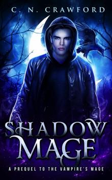 vampires mage 01.5 - shadow mage Read online