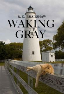 Waking Up Gray Read online