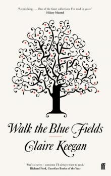 Walk the Blue Fields Read online