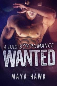 Wanted: A Bad Boy Romance Read online