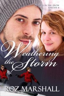 Weathering the Storm: Secrets in the Snow, # 6 Read online