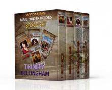 Wyoming Mail Order Brides Boxed Set 1- 4 Read online