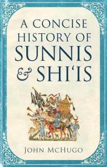 A Concise History of Sunnis and Shi'is Read online