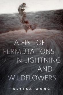 A Fist of Permutations in Lightning and Wildflowers Read online