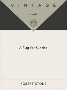 A Flag for Sunrise Read online