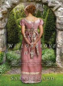 A Lady at Willowgrove Hall Read online