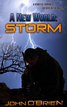 A New World: Storm Read online