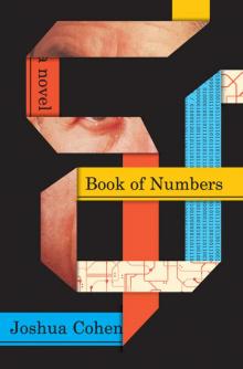 Book of Numbers: A Novel Read online
