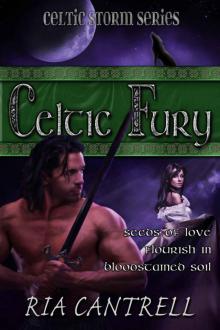 Celtic Fury Read online