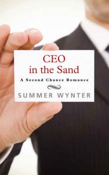 CEO in the Sand Read online