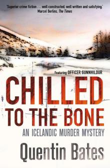 Chilled to the Bone Read online