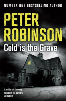 Cold is the Grave Read online