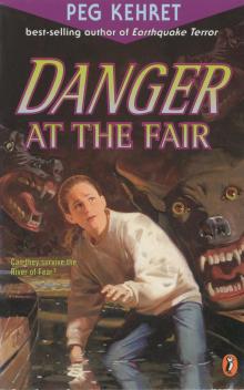 Danger at the Fair Read online