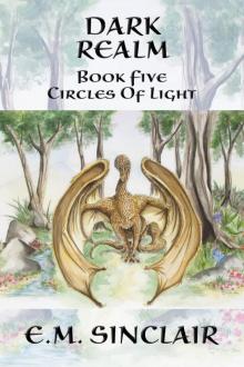 Dark Realm: Book 5 Circles of Light series Read online