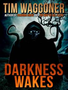 Darkness Wakes Read online