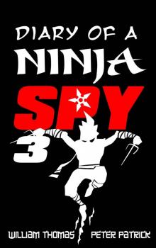 Diary of a Ninja Spy 3: Ninja Ghost Attack! (Diary of a Sixth Grade Ninja Spy)