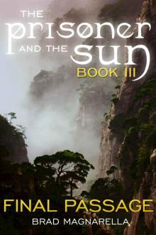 Final Passage (The Prisoner and the Sun #3) Read online