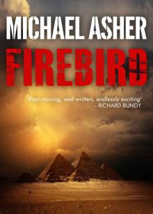 Firebird Read online