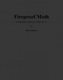 Fireproof Moth: A Missionary in Taiwan's White Terror Read online