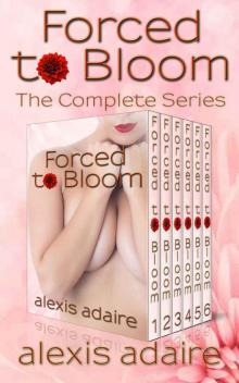 Forced to Bloom, The Complete Series: (BBW Alpha Male Billionaire BDSM Romance)