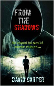 From The Shadows (Blaze series Book 1) Read online