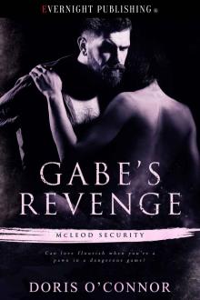 Gabe's Revenge Read online