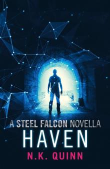 Haven - a Steel Falcon Novella Read online