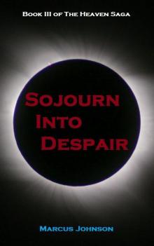 Heaven Saga 3: Sojourn Into Despair Read online