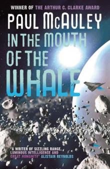 In the Mouth of the Whale Read online