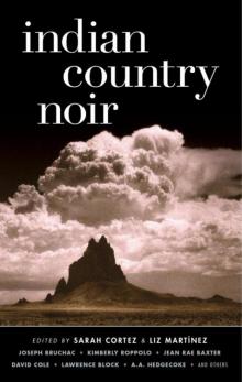 Indian Country Noir Read online