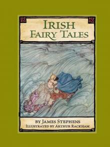 Irish Fairy Tales