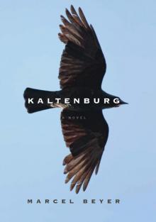 Kaltenburg Read online